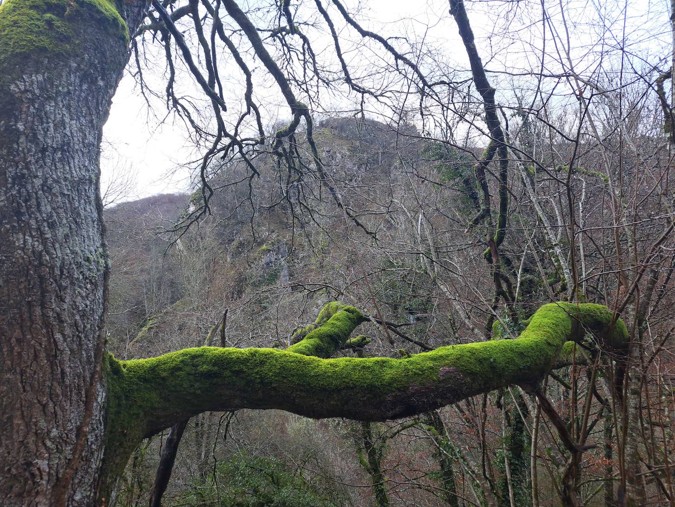 Fotos: Ixkier, el agua marca el ritmo de Larraun