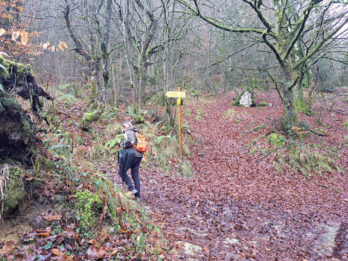 Fotos: Ixkier, el agua marca el ritmo de Larraun