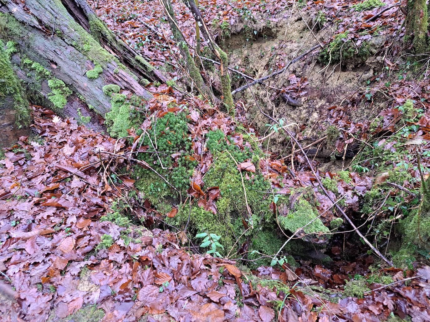 Fotos: Ixkier, el agua marca el ritmo de Larraun