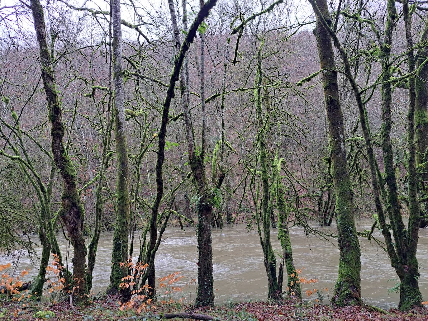 Fotos: Ixkier, el agua marca el ritmo de Larraun