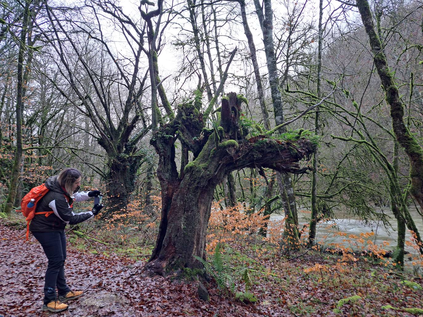 Fotos: Ixkier, el agua marca el ritmo de Larraun