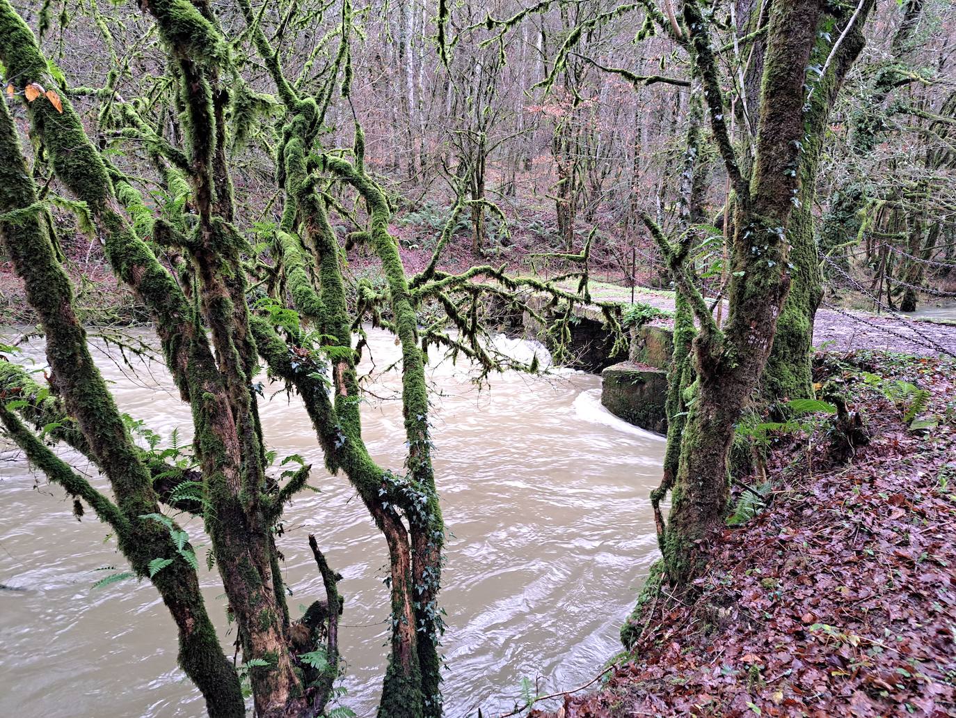 Fotos: Ixkier, el agua marca el ritmo de Larraun