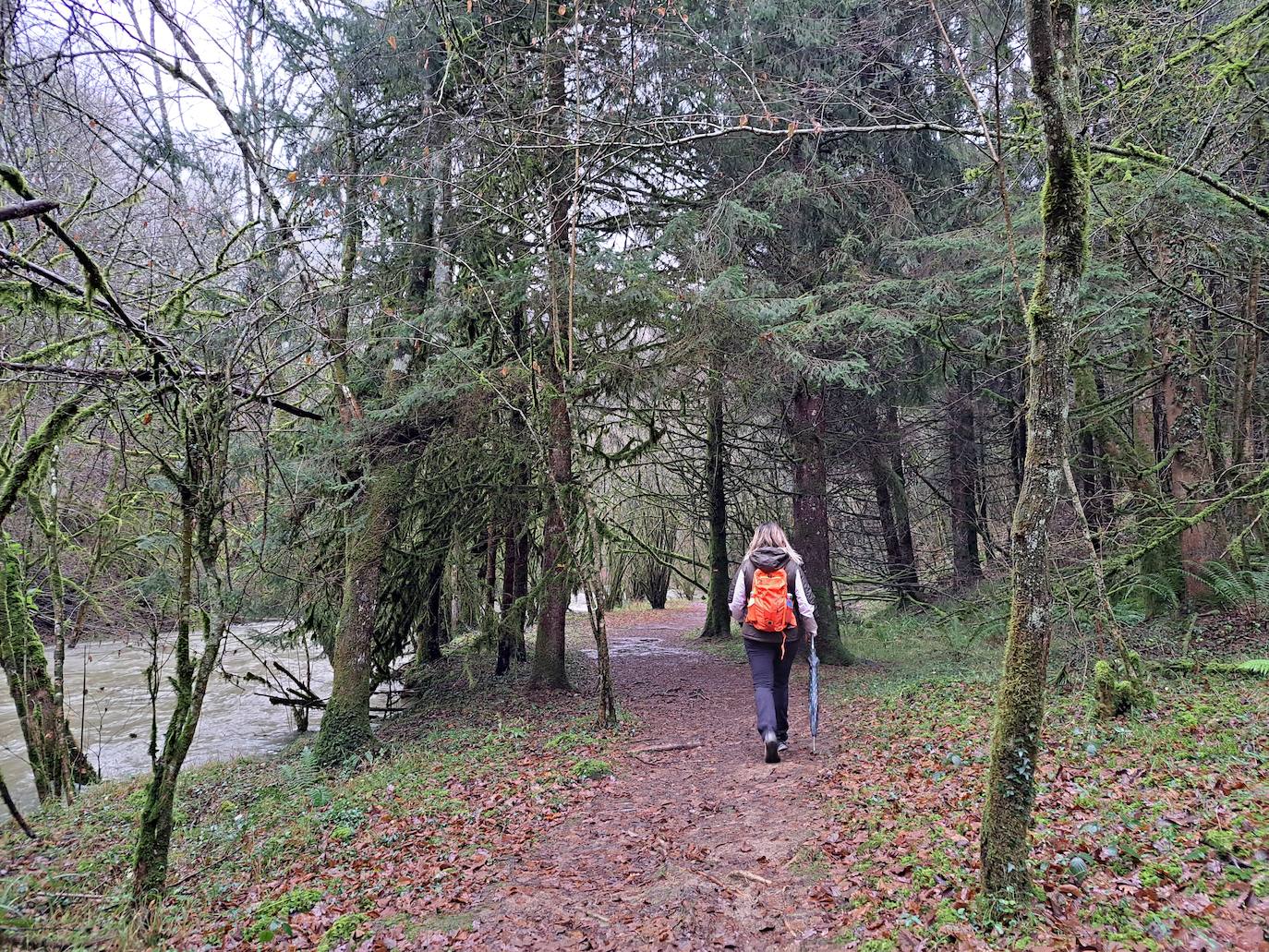Fotos: Ixkier, el agua marca el ritmo de Larraun