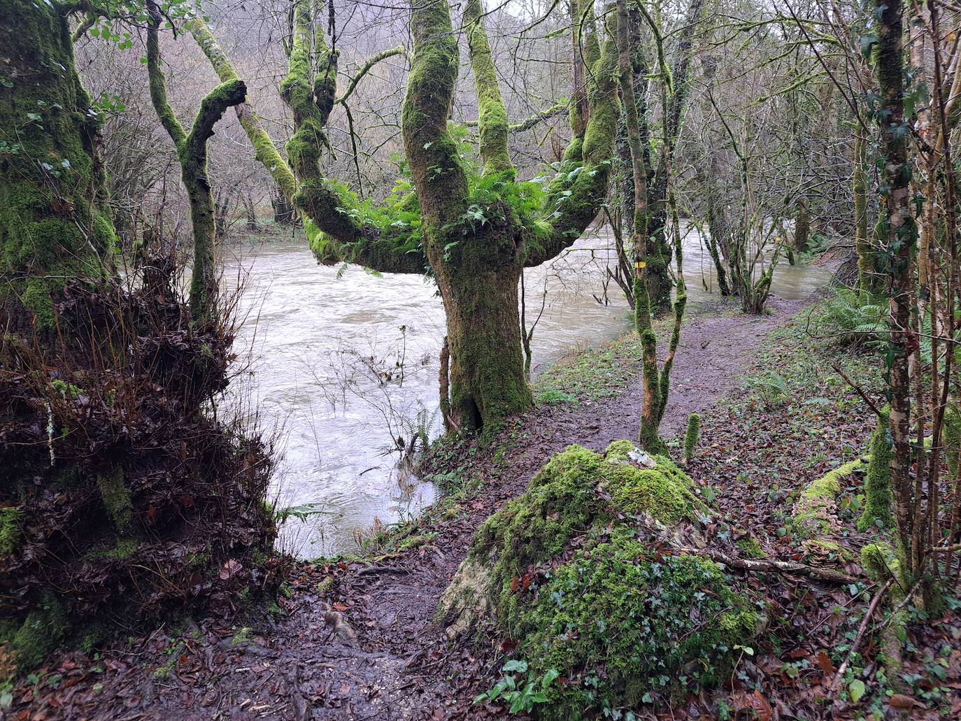 Fotos: Ixkier, el agua marca el ritmo de Larraun