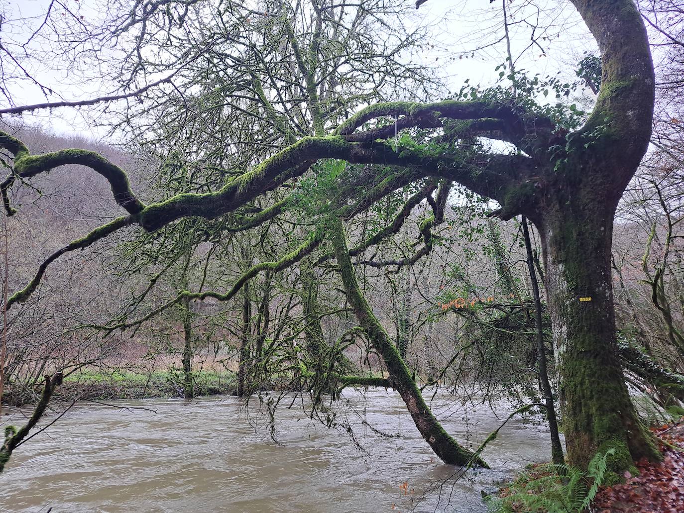 Fotos: Ixkier, el agua marca el ritmo de Larraun