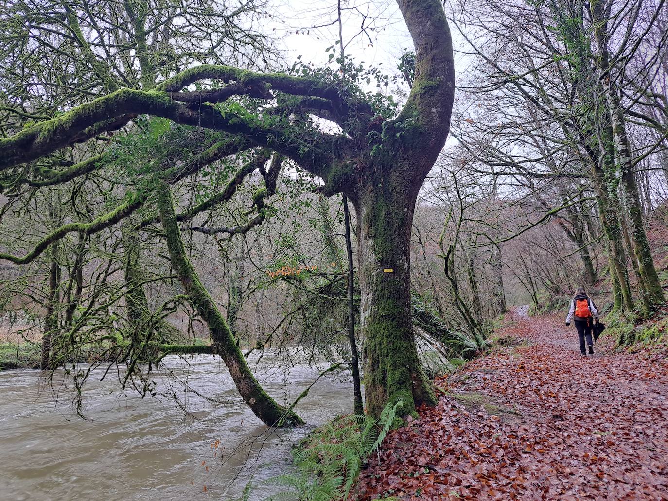 Fotos: Ixkier, el agua marca el ritmo de Larraun