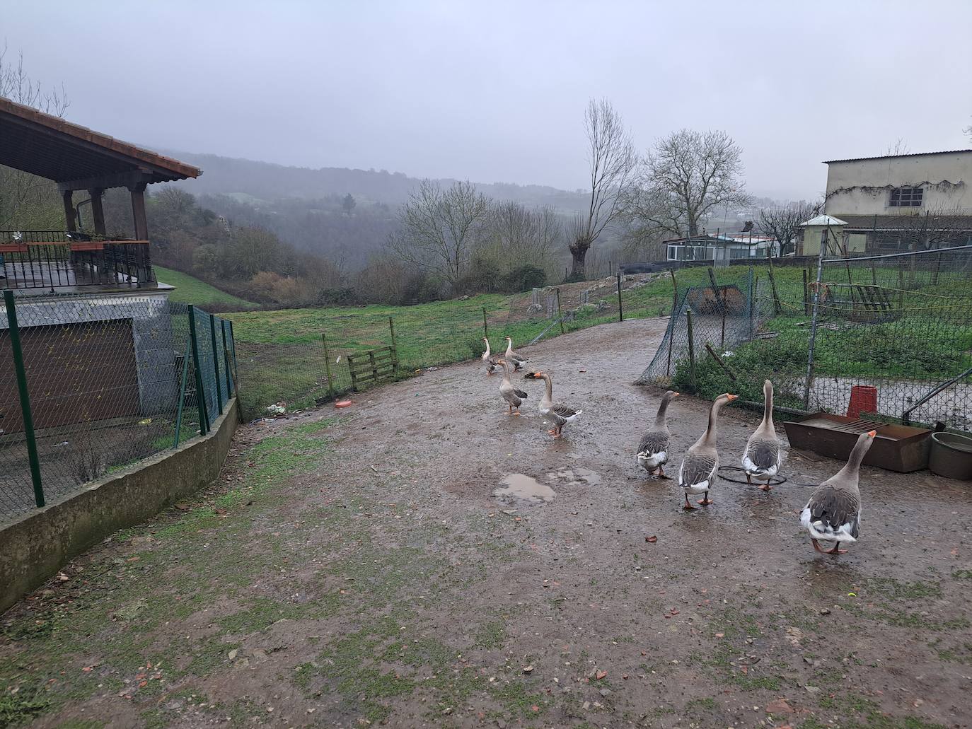 Fotos: Ixkier, el agua marca el ritmo de Larraun