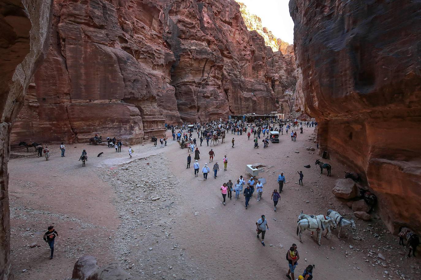 Fotos: Invasión en Petra: la &#039;Ciudad Rosa&#039; deja de ser la ciudad fantasma