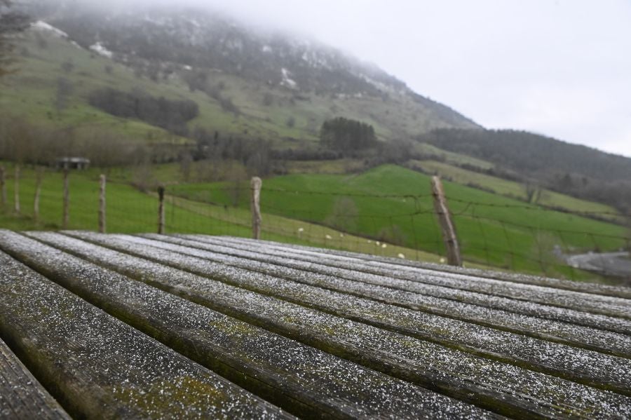 Fotos: Otra semana de frío