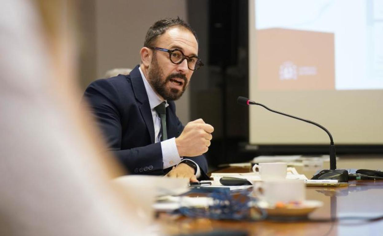 Denis Itxaso, delegado de Gobierno en Euskadi, en una imagen reciente. 