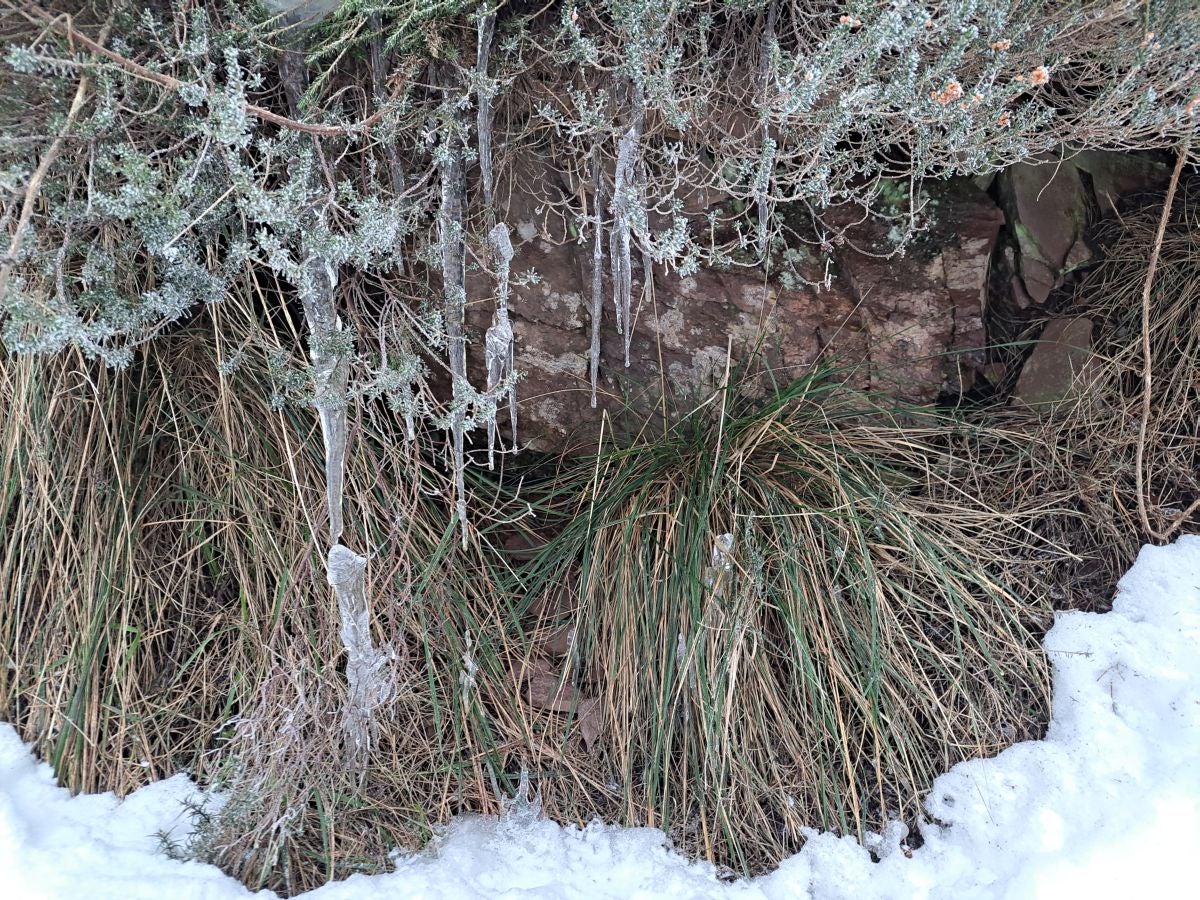 Fotos: Las mejores imágenes de la subida a Larre