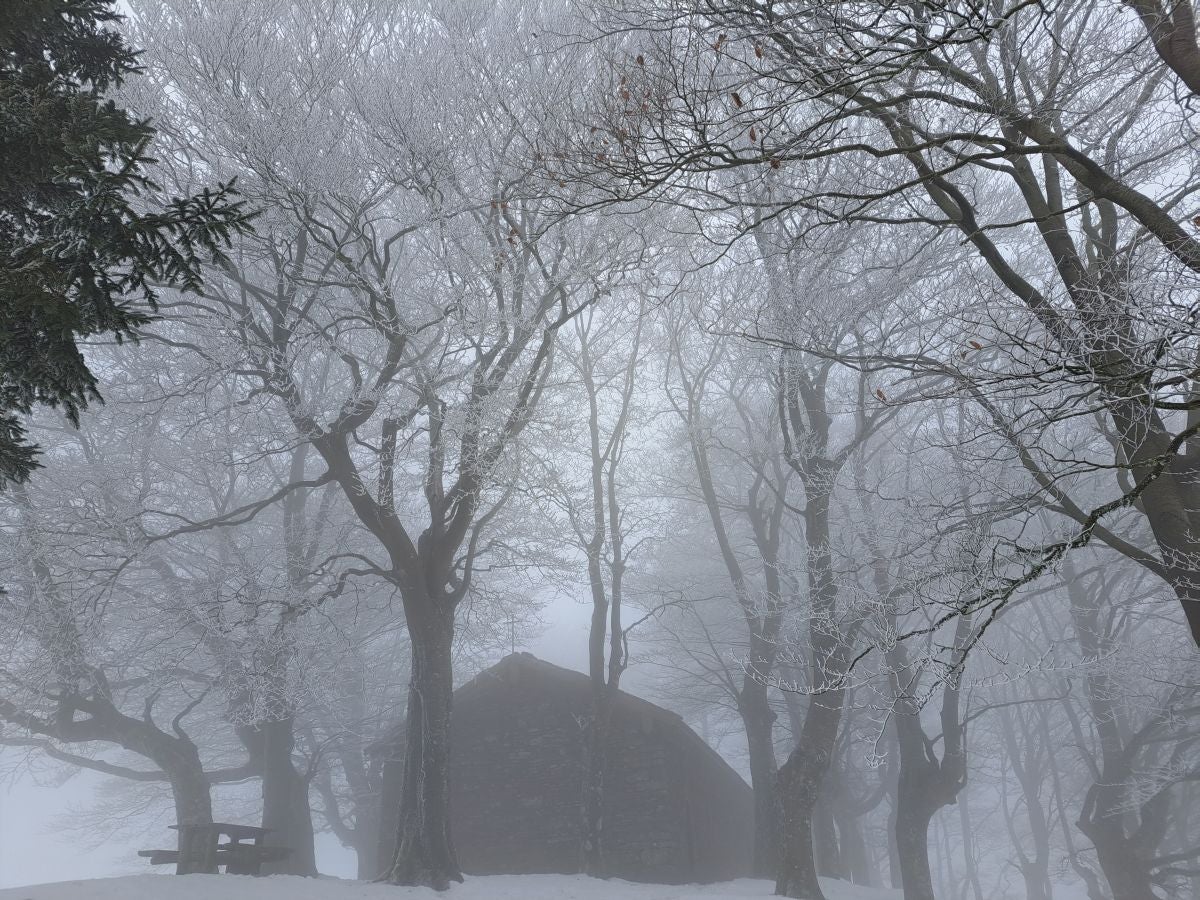 Fotos: Las mejores imágenes de la subida a Larre