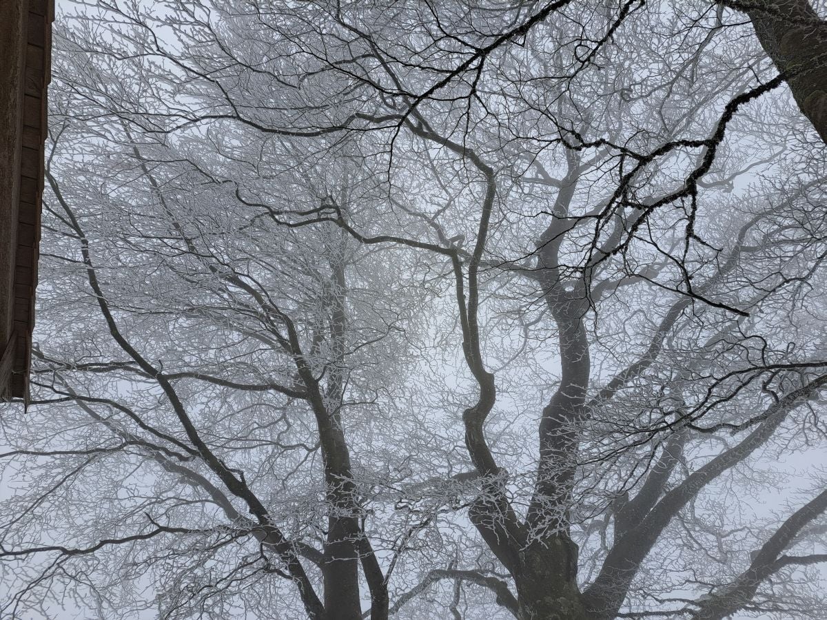 Fotos: Las mejores imágenes de la subida a Larre