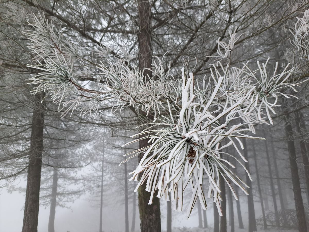 Fotos: Las mejores imágenes de la subida a Larre