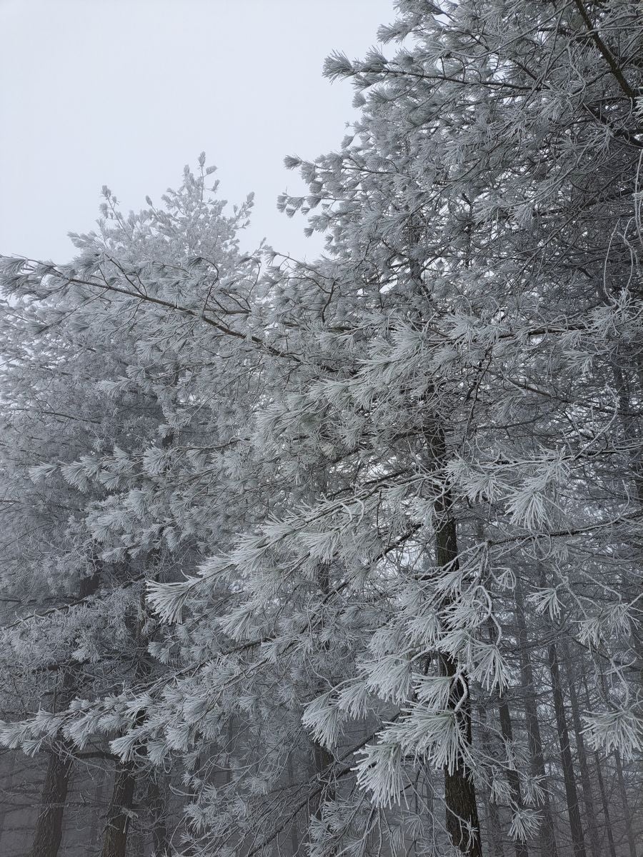 Fotos: Las mejores imágenes de la subida a Larre