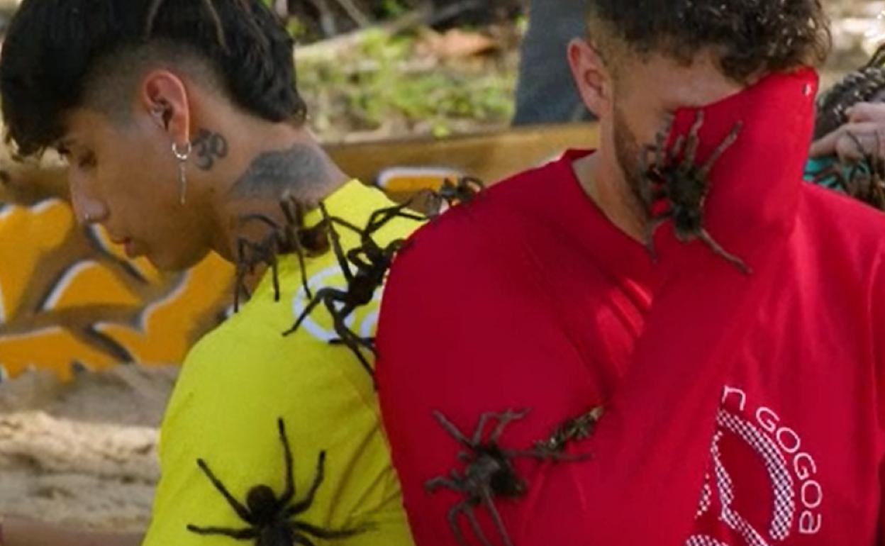 Peio y Hamza, rodeados de arañas en El Conquis 2023. 