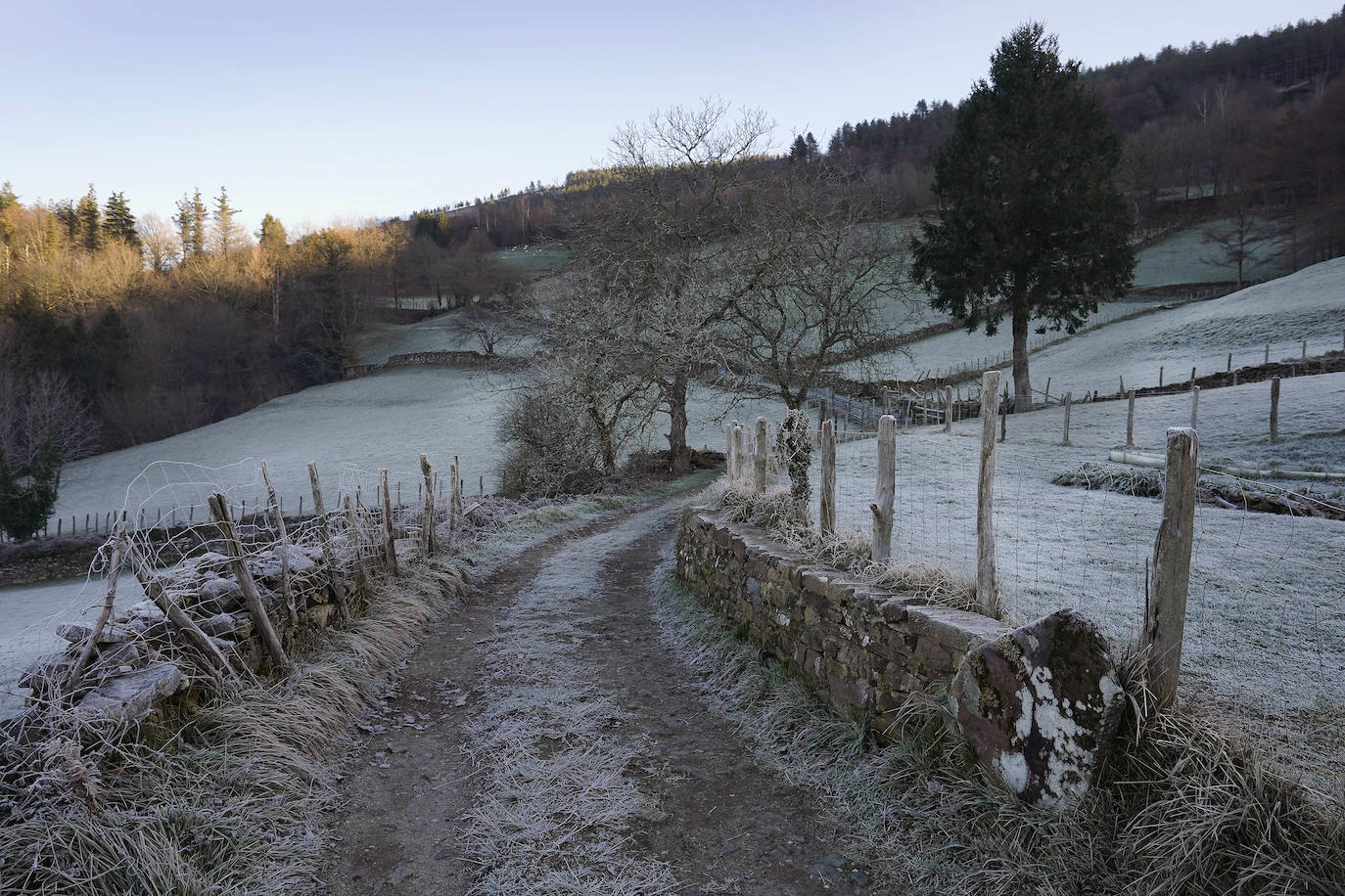 Fotos: Última noche de heladas en Gipuzkoa