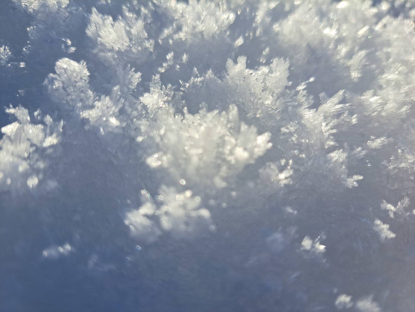 Fotos: Eguzkizko Muinoa, entre nieve y rayos de sol