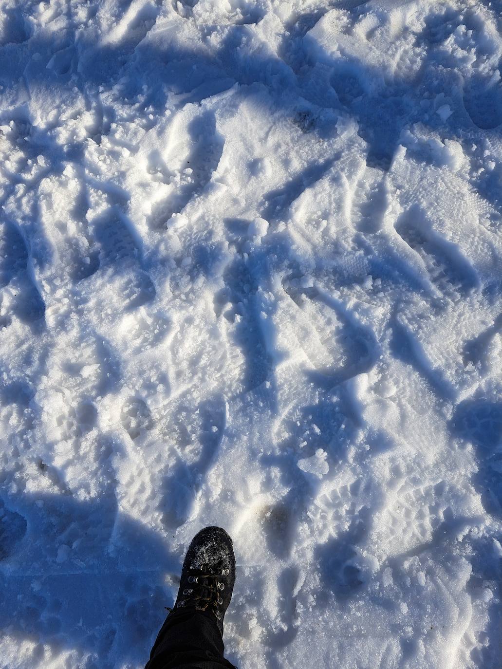 Fotos: Eguzkizko Muinoa, entre nieve y rayos de sol