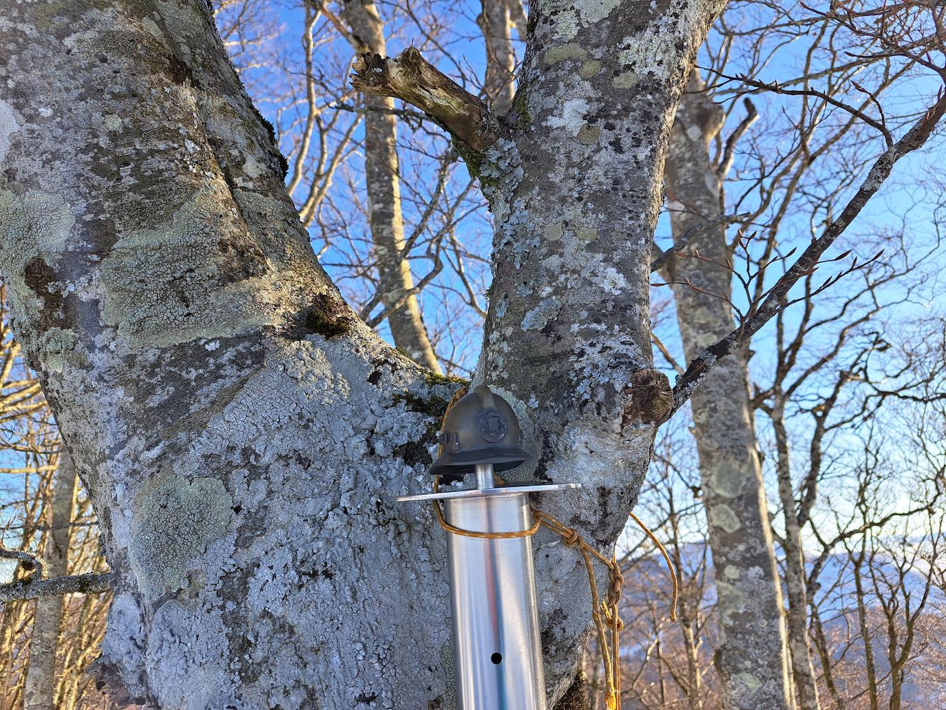 Fotos: Eguzkizko Muinoa, entre nieve y rayos de sol