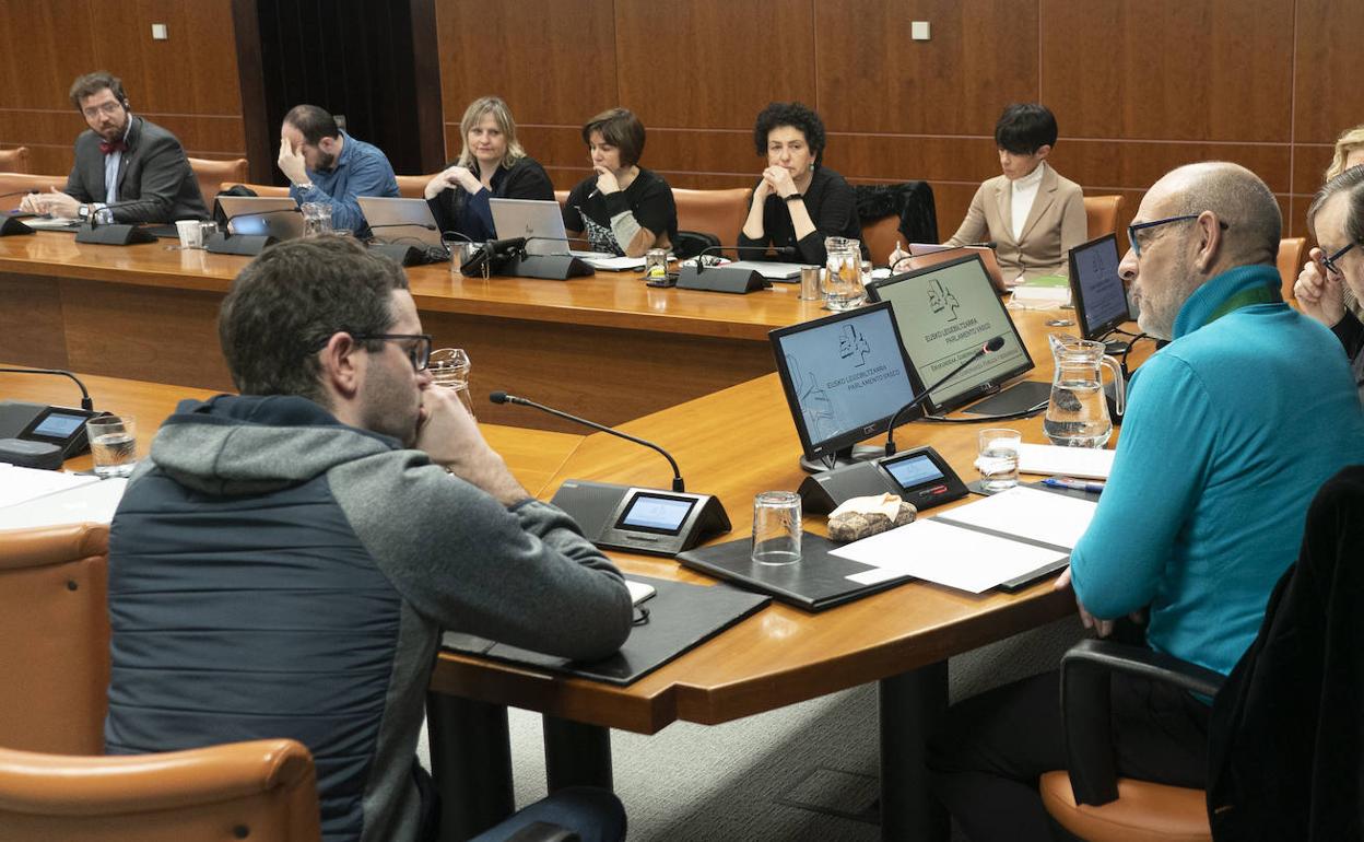 Josu Etxaburu, portavoz de Gure Esku, a la derecha, en la Comisión parlamentaria de esta mañana.