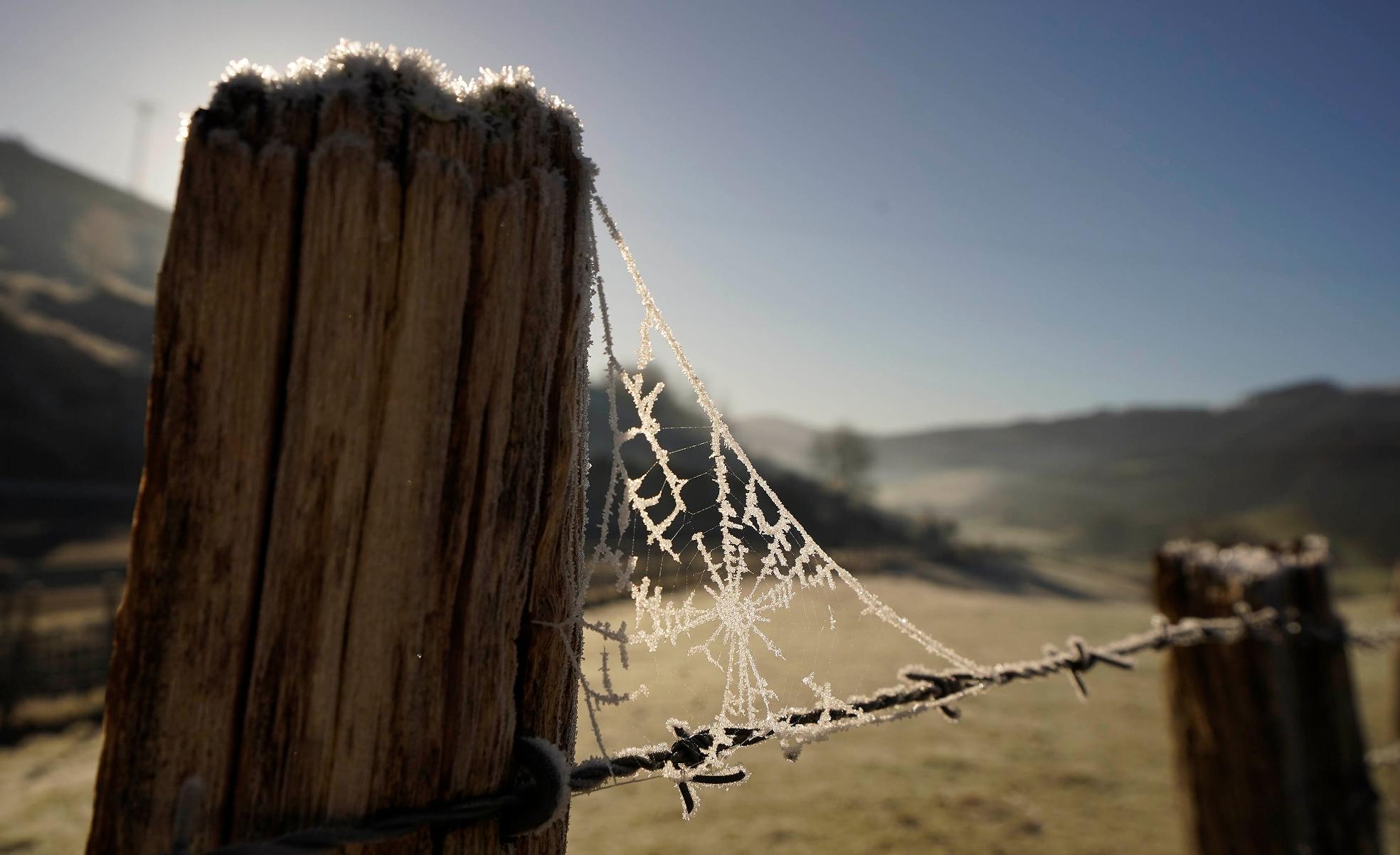 Las temperaturas mínimas bajo cero han helado incluso a Spiderman en la zona de Berastegi.
