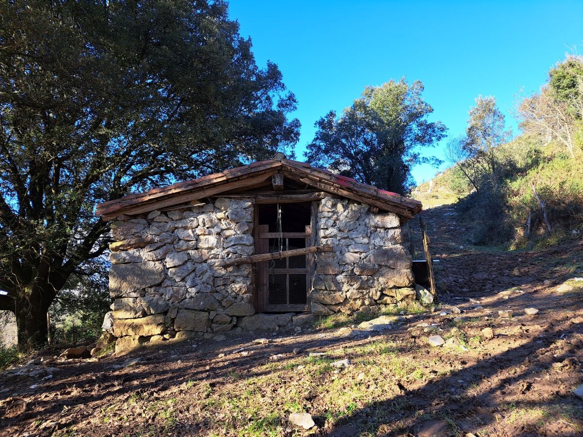 Fotos: Ertxiña, con los ojos en la Suiza del Urola