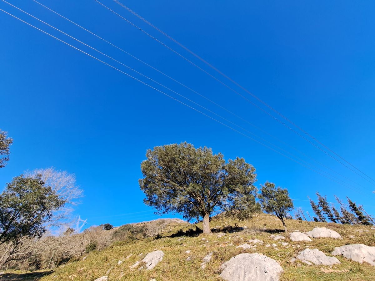 Fotos: Ertxiña, con los ojos en la Suiza del Urola