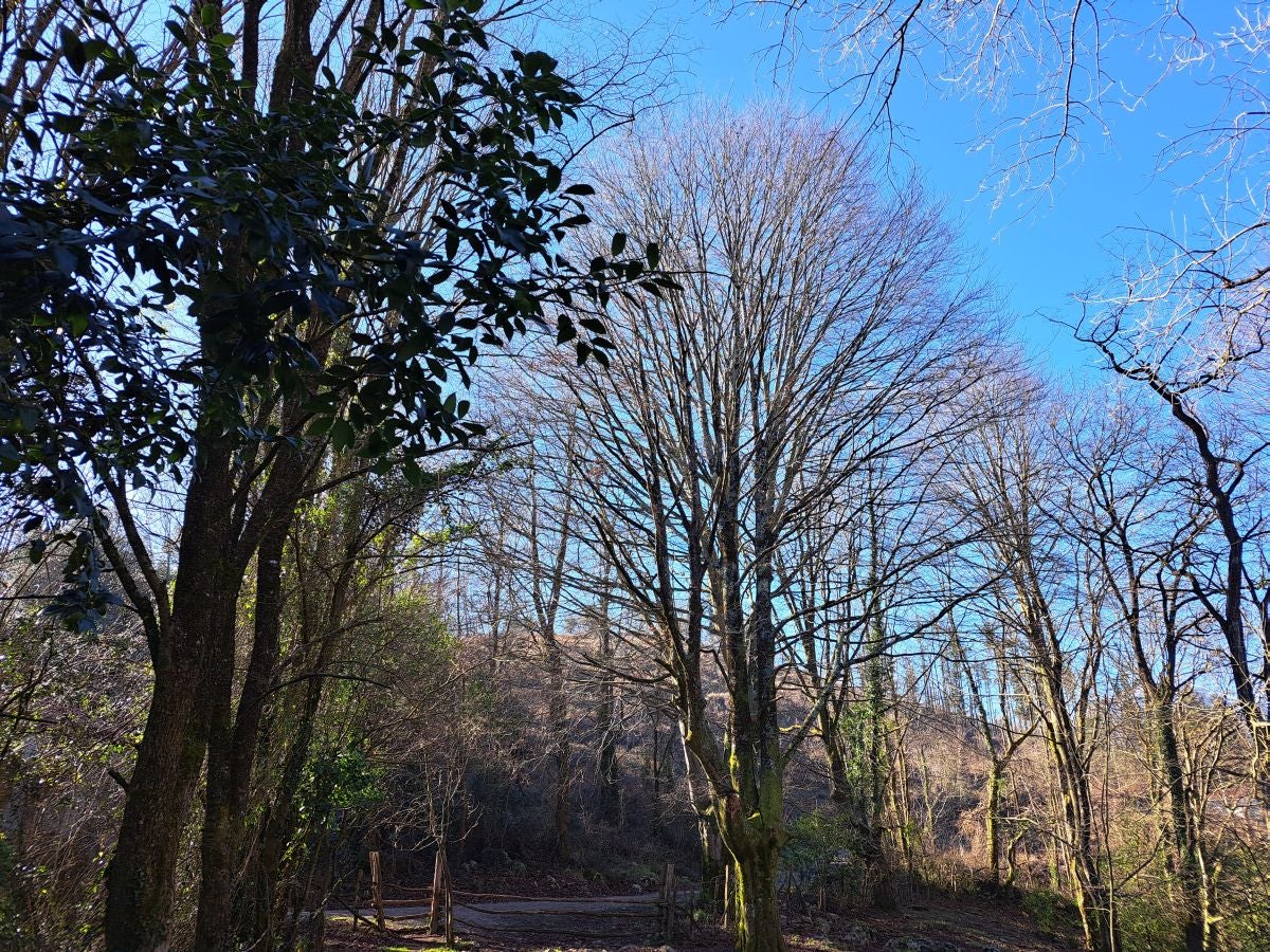 Fotos: Ertxiña, con los ojos en la Suiza del Urola