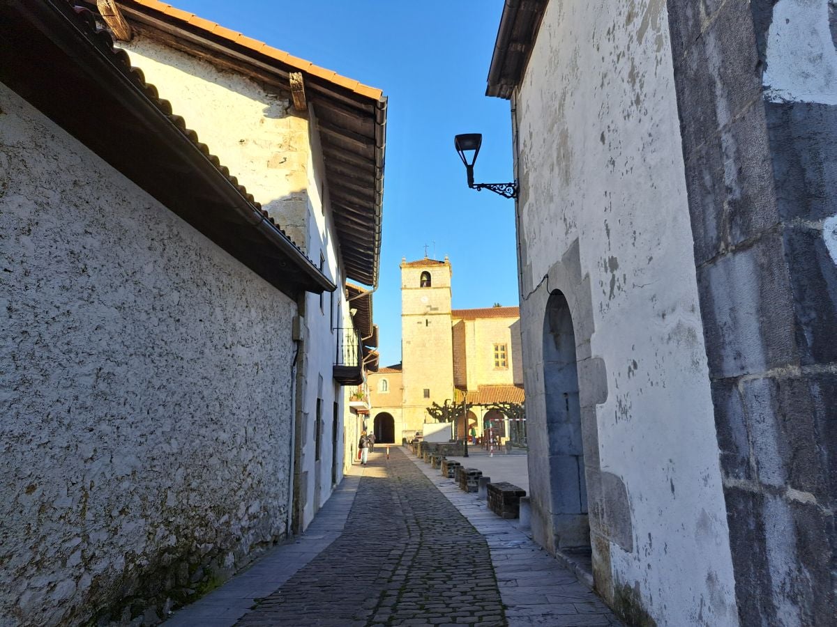 Fotos: Ertxiña, con los ojos en la Suiza del Urola