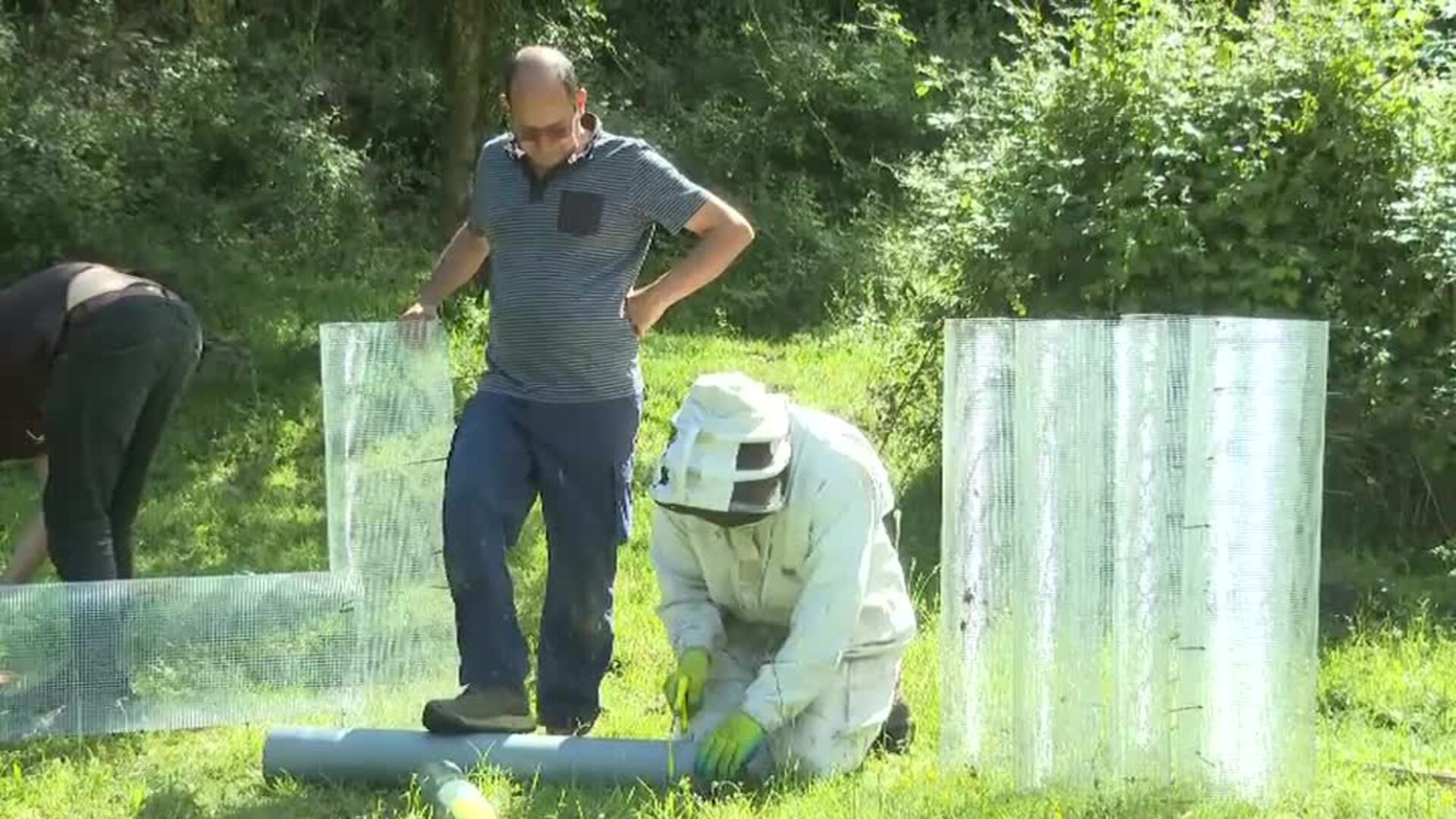 Los apicultores españoles buscan nuevas medidas para acabar con la avispa asiática