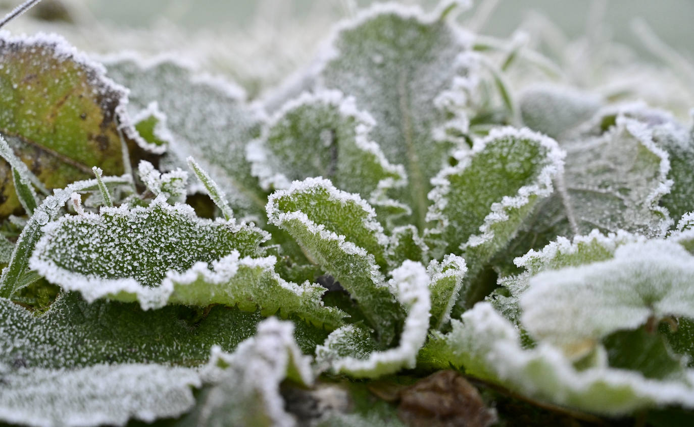 Frío y cielos despejados
