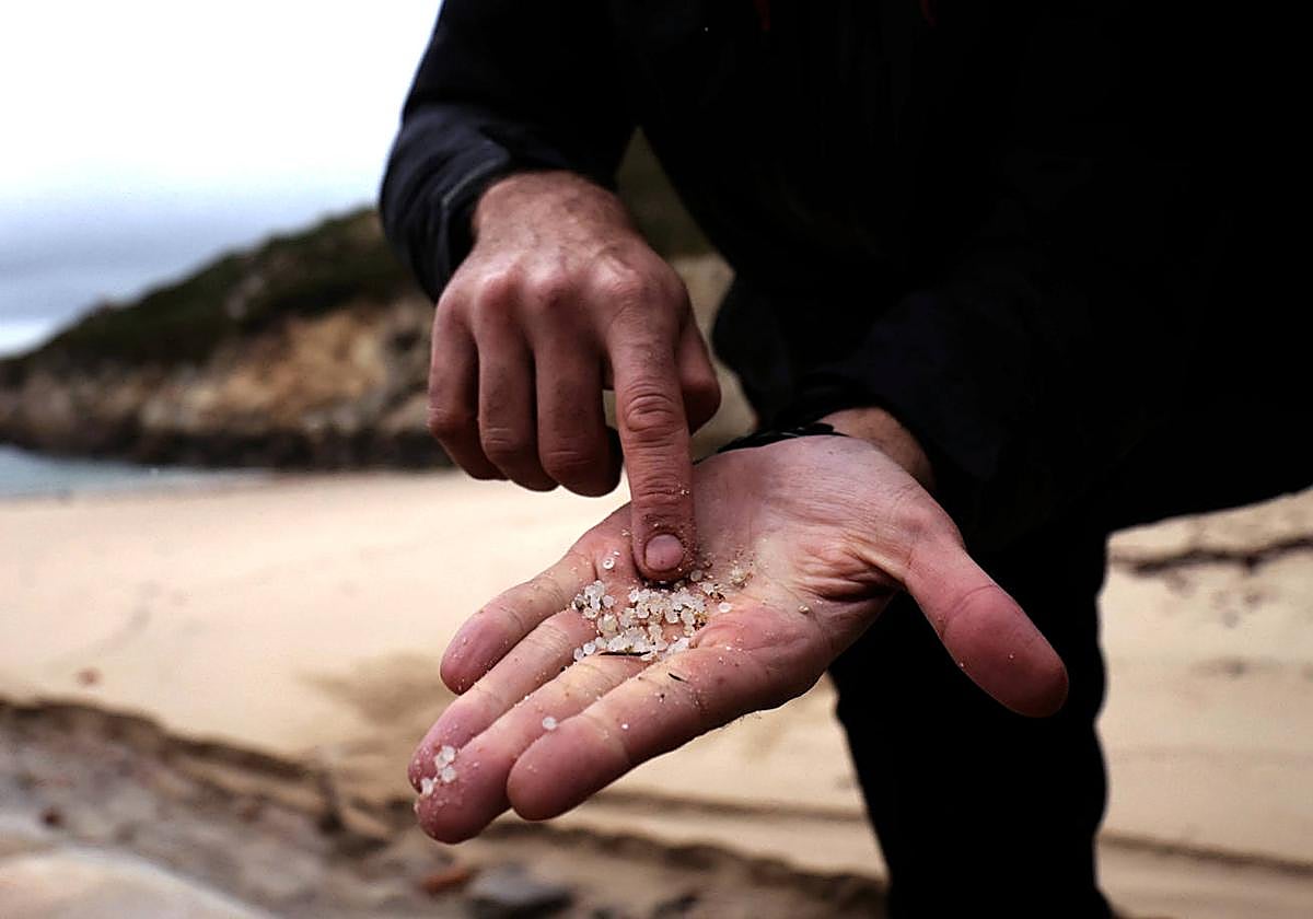 Pélets recogidos en una playa gallega.