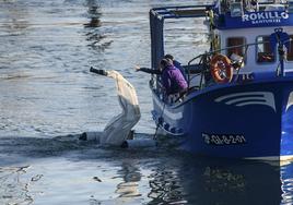 Barco 'Rokillo', uno de los dos buques acondicionados por el Gobierno Vasco para recoger pélets en el mar.