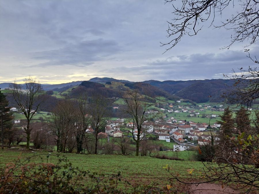 Ipuliño, hayas, pinos, robles y demás árboles en la muga de Gipuzkoa y Navarra