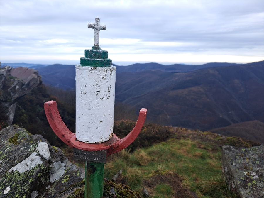 Ipuliño, hayas, pinos, robles y demás árboles en la muga de Gipuzkoa y Navarra