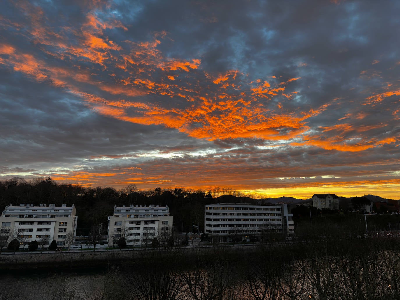Primavera en enero en Gipuzkoa