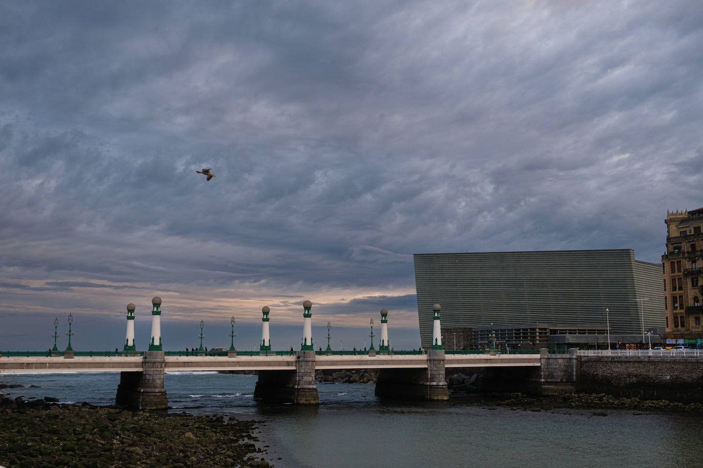 Primavera en enero en Gipuzkoa