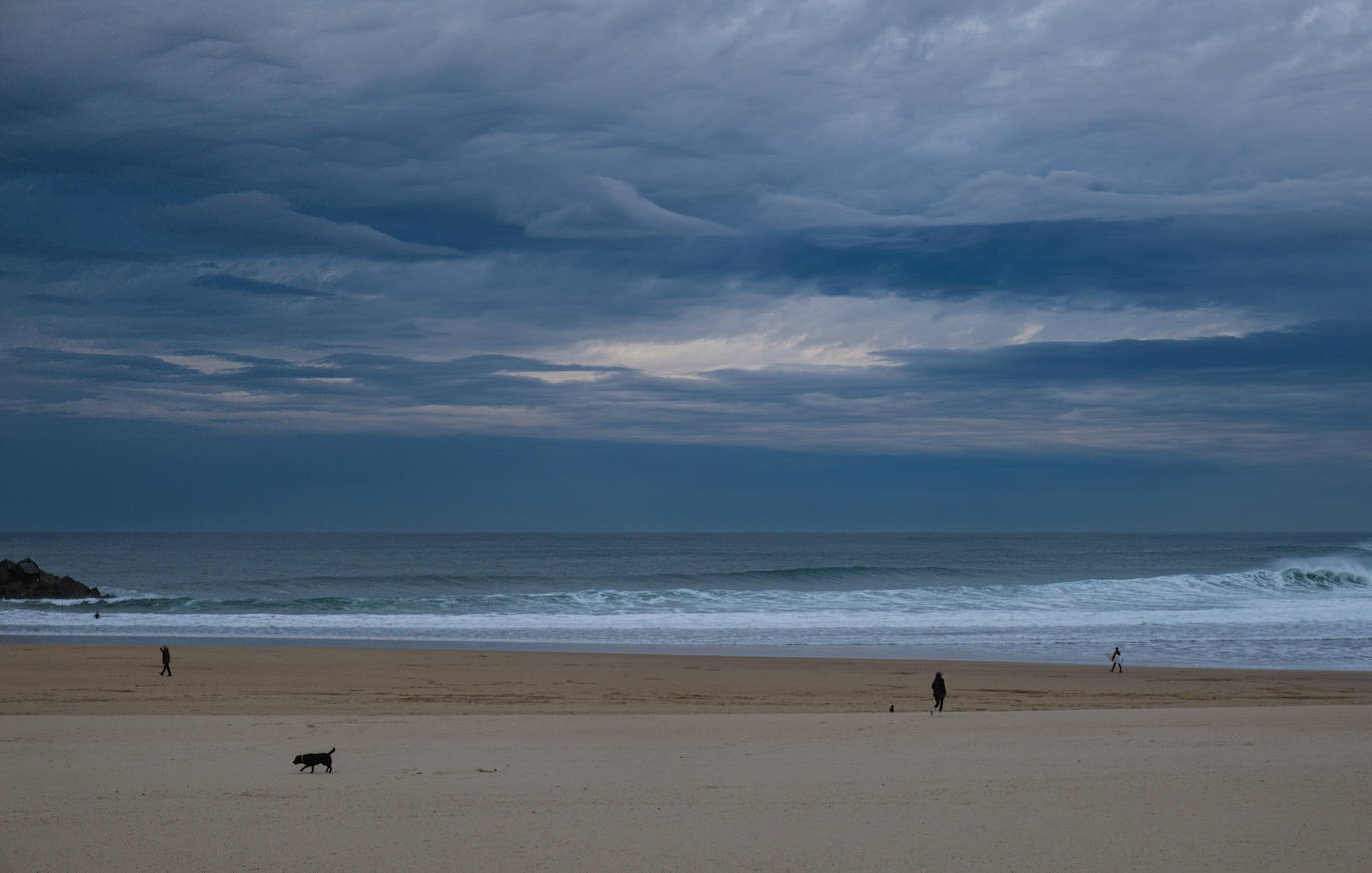 Primavera en enero en Gipuzkoa