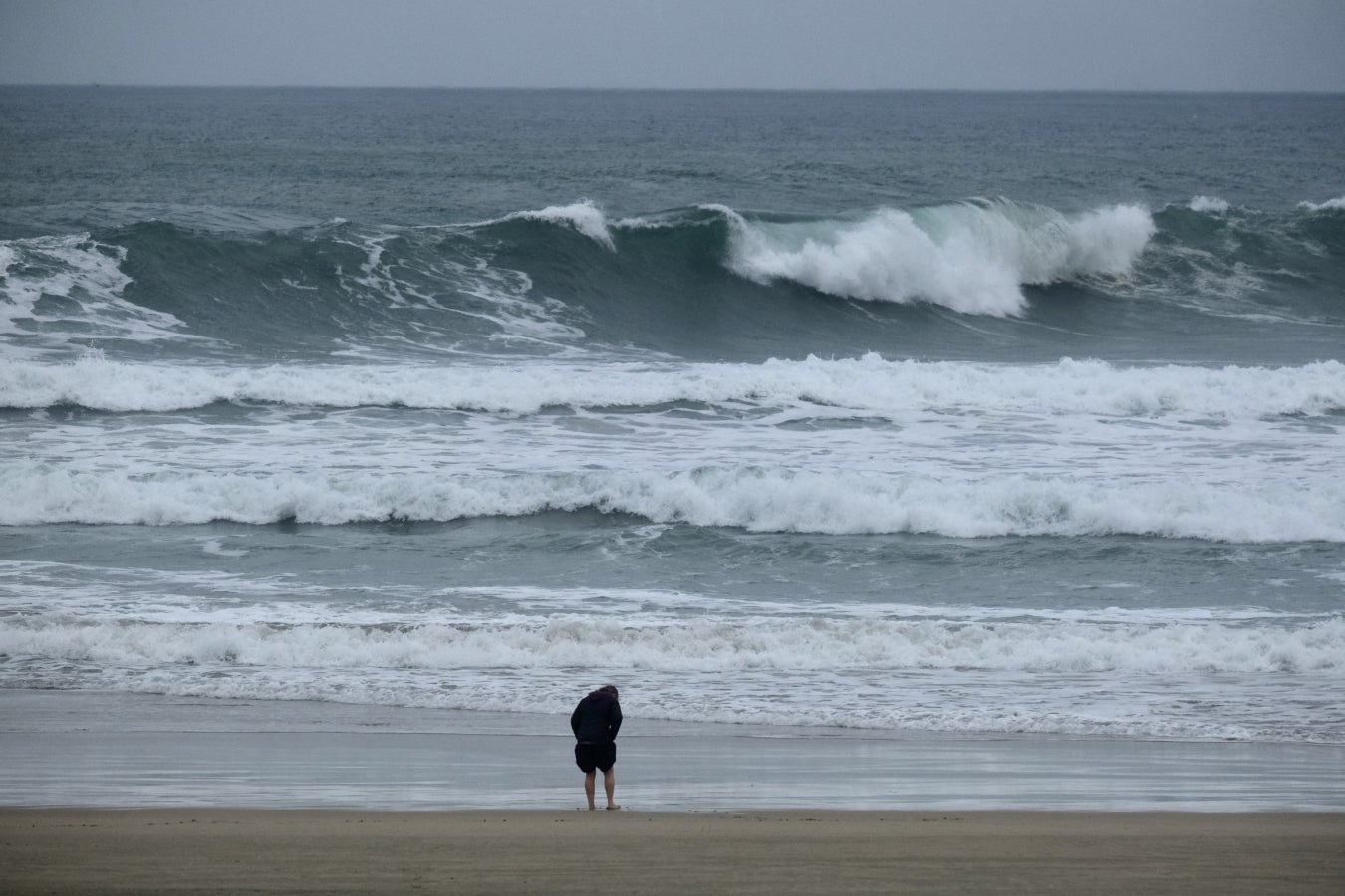 Primavera en enero en Gipuzkoa
