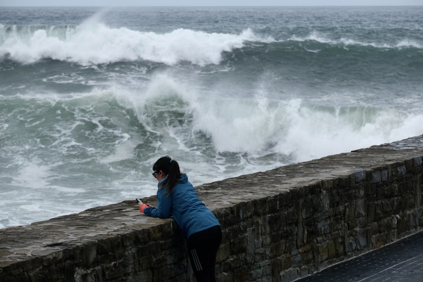 Primavera en enero en Gipuzkoa