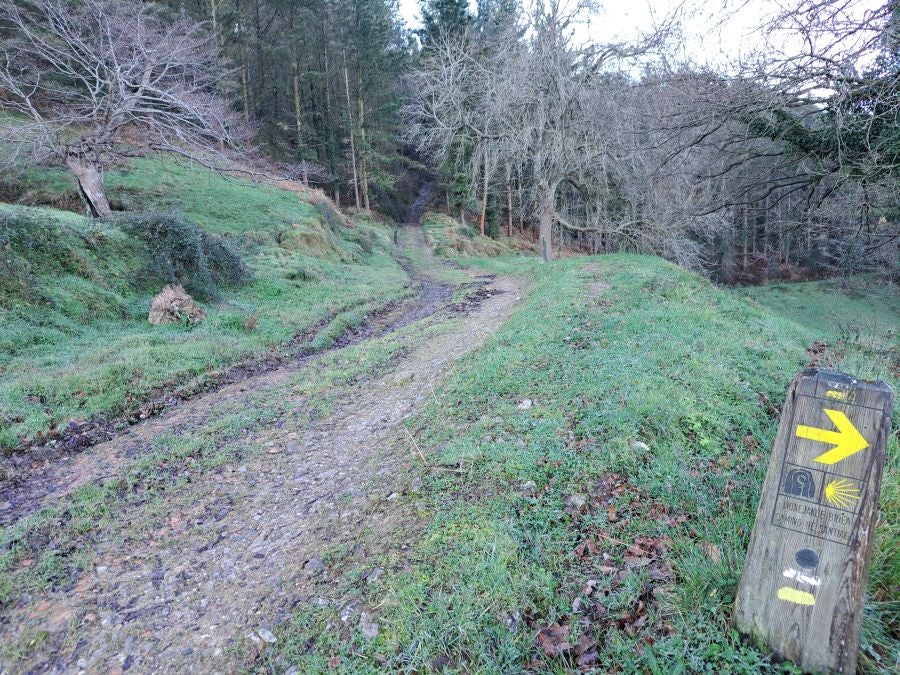 La belleza natural de Arno