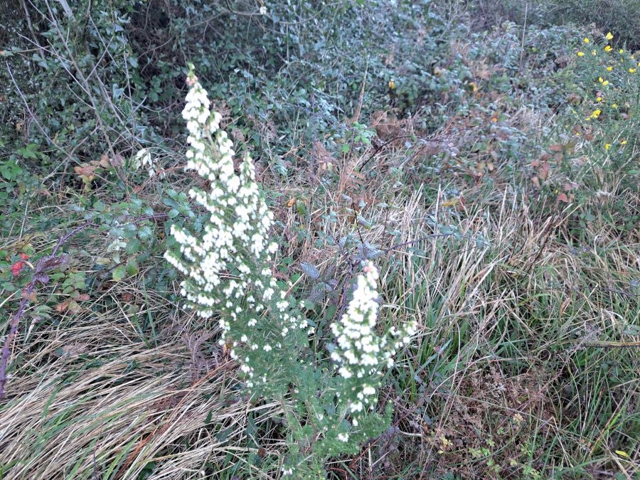 La belleza natural de Arno