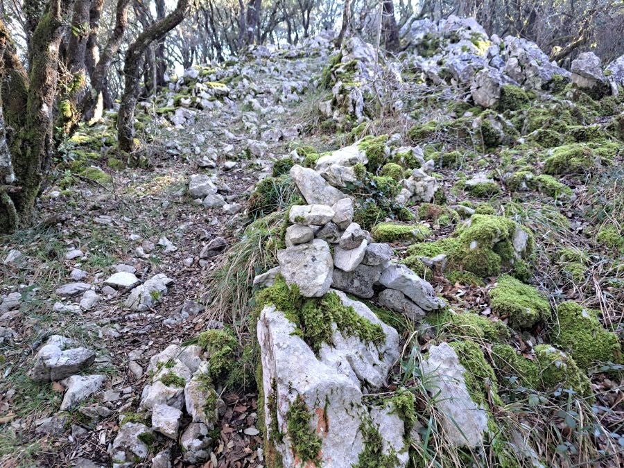 La belleza natural de Arno