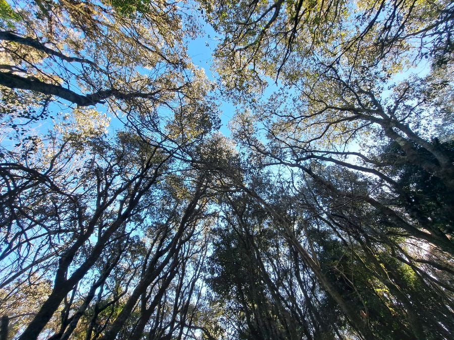 La belleza natural de Arno