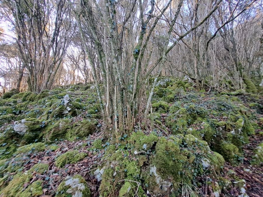 La belleza natural de Arno