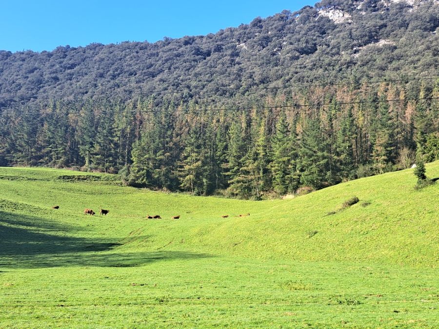 La belleza natural de Arno