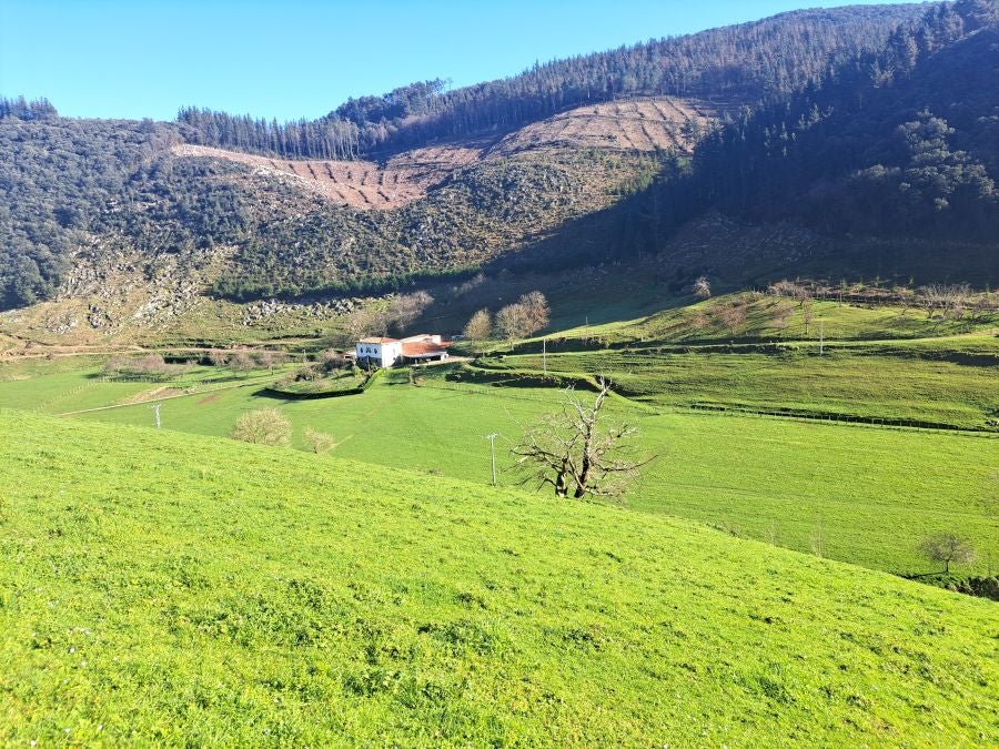 La belleza natural de Arno