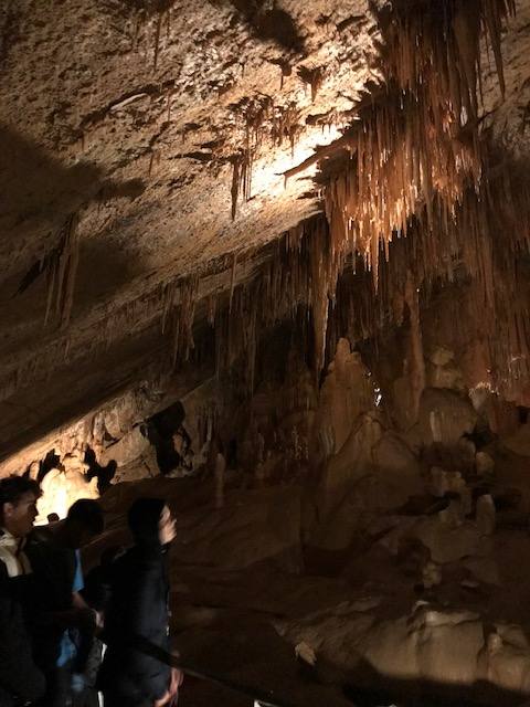 Oianguren institutuko DBH3ko ikasleak ezagutu