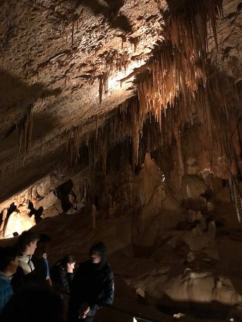 Oianguren institutuko DBH3ko ikasleak ezagutu